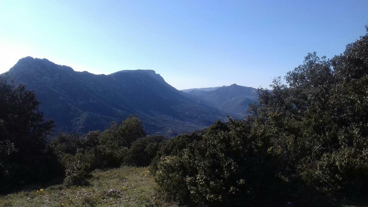 Le Gite De Cristal Proche Bugarach Granes Bagian luar foto