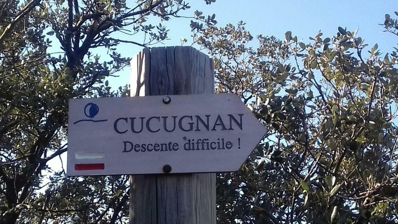 Le Gite De Cristal Proche Bugarach Granes Bagian luar foto